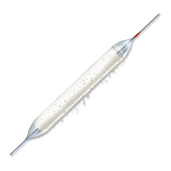 Mozec SEB BDC